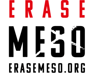 Erase Meso logo